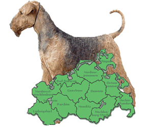 Airedale-Terrier von der Seeworth