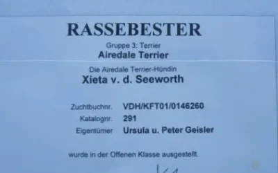 XIETA v.d.Seeworth hat einen Lauf, wieder ein BOB erreicht.