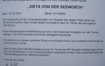 XIETA v.d. Seeworth ist KFT- Ausstellungschampion